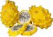 Пітахайя жовта (Пітайя) | Dragon fruit yellow SD-EN61 фото 1
