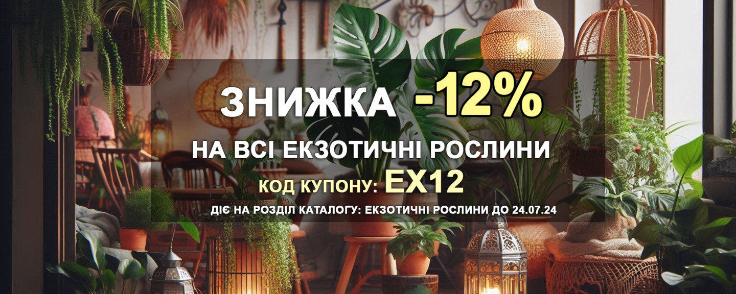 Eкзотичні рослини знижка -12%