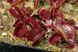 Dionaea muscipula Petite Dragon - S DM67 фото 3