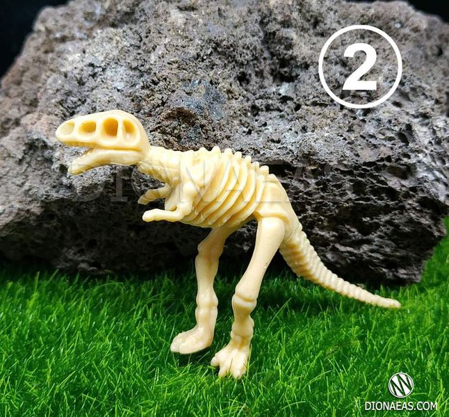 Скелет динозавра DK48 фото