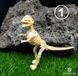 Скелет динозавра DK48 фото 2
