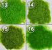 Імітація трави, моху, зелені. Штучна трава K69 фото 6