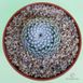 Mammillaria Microthele Superfina - Мамілярія мікротіле Суперфіну, кактус із совиним оком SU88 фото 3