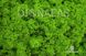 Натуральний стабілізований скандинавський мох DK01 фото 7