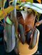 Непентес Ребекка Супер | Nepenthes Rebecca soper - S NEP06 фото 9