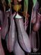 Непентес Ребекка Супер | Nepenthes Rebecca soper - S NEP06 фото 2
