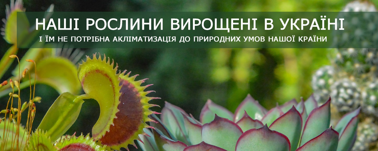Наші рослини вирощені в Україні