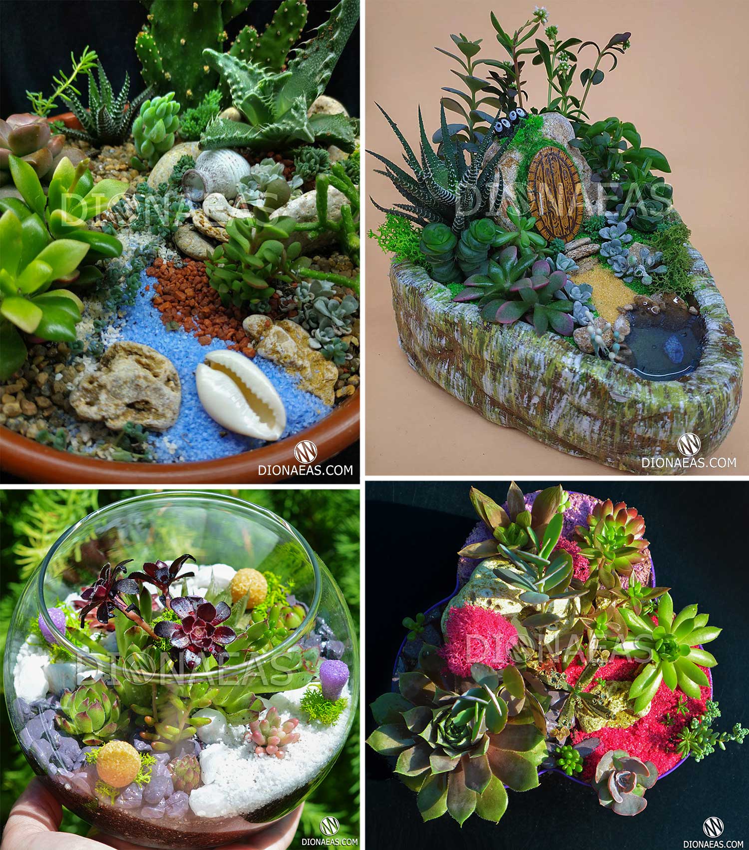 Фотографія декор для флораріумів, бонсай, міні-садків та композицій dionaeas.com